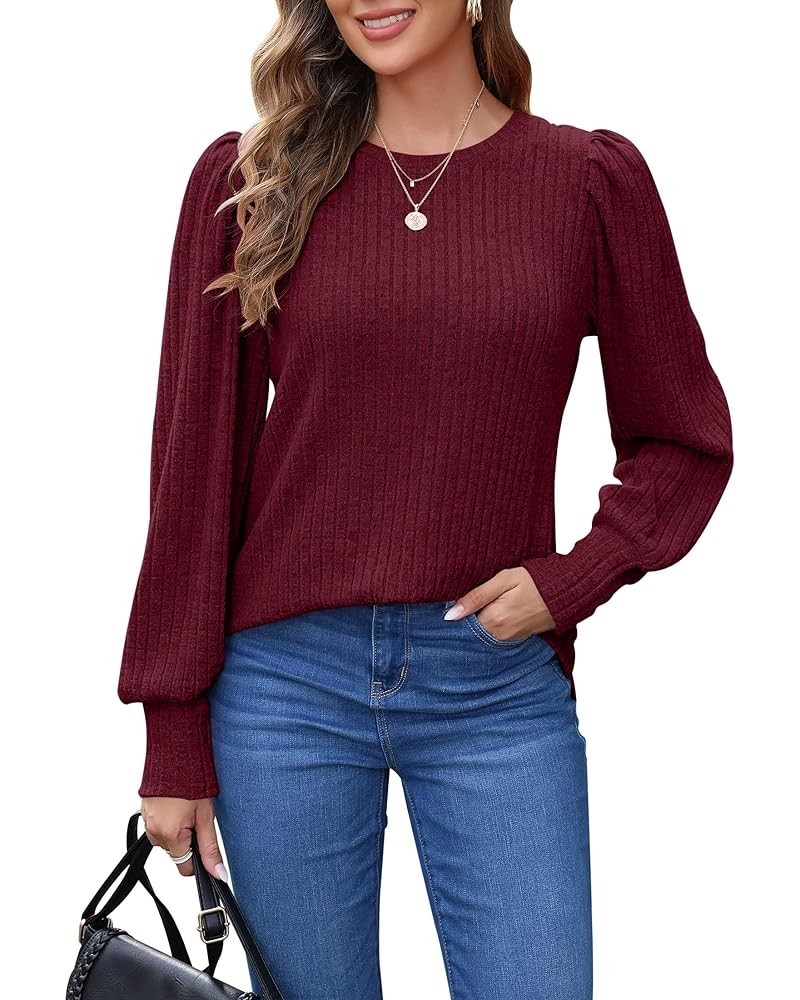 Women's Puff Long Sleeve Tops Lightweight Crewneck Plus Size Tunic Shirts M-4XL Wine Red $15.25 Tops