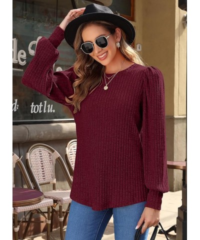 Women's Puff Long Sleeve Tops Lightweight Crewneck Plus Size Tunic Shirts M-4XL Wine Red $15.25 Tops