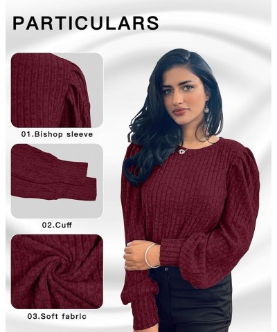 Women's Puff Long Sleeve Tops Lightweight Crewneck Plus Size Tunic Shirts M-4XL Wine Red $15.25 Tops