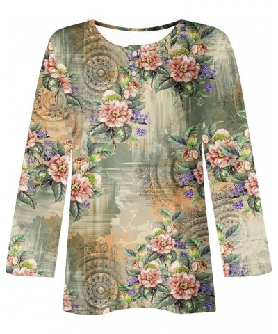 Womens Tunic Tops Hide Belly 2023 Fall Fashion Long Sleeve T Shirts Cute Loose Fit Flowy Henley Tshirt Casual Dressy Blouses ...